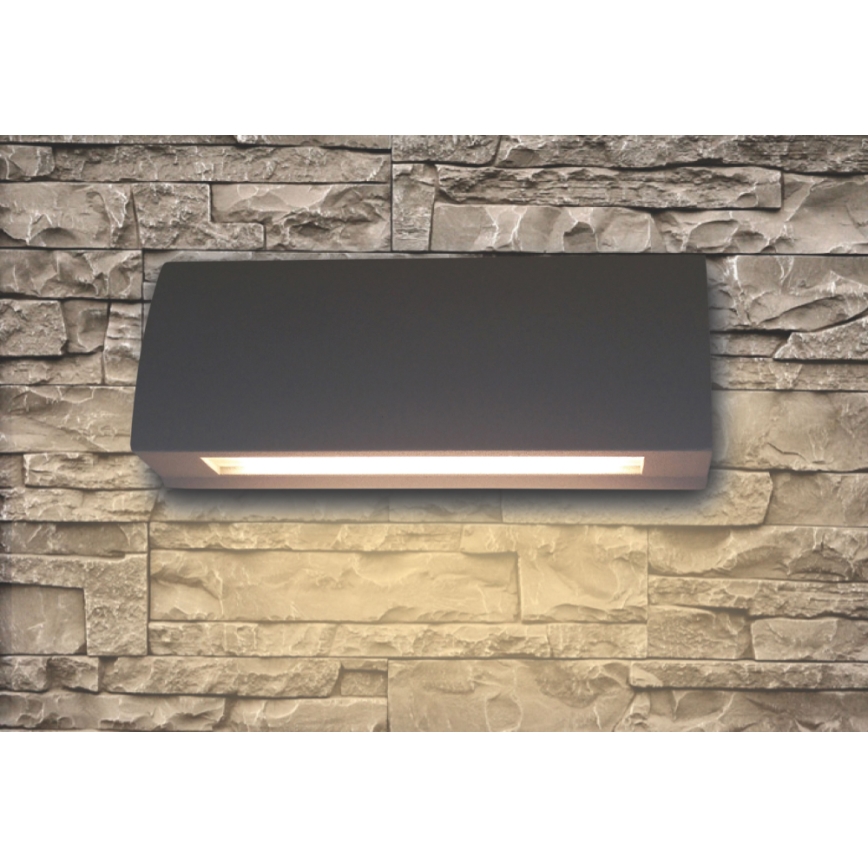 Udendørs LED væglampe LED/3,5W/230V IP54