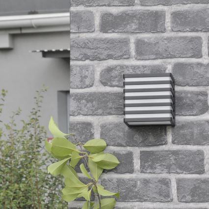 Udendørs LED væglampe MAXWELL LED/10W/230V IP54 grafit
