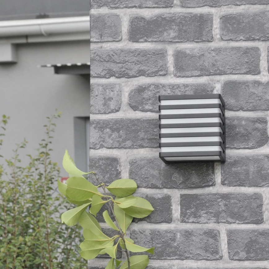 Udendørs LED væglampe MAXWELL LED/10W/230V IP54 grafit
