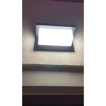 Udendørs LED væglampe med sensor LED/12W/230V IP54 sort