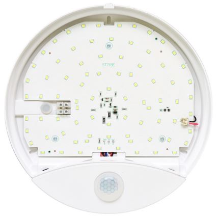 Udendørs LED væglampe med sensor LORA LED/15W/230V IP44