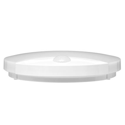 Udendørs LED væglampe med sensor LORA LED/15W/230V IP44