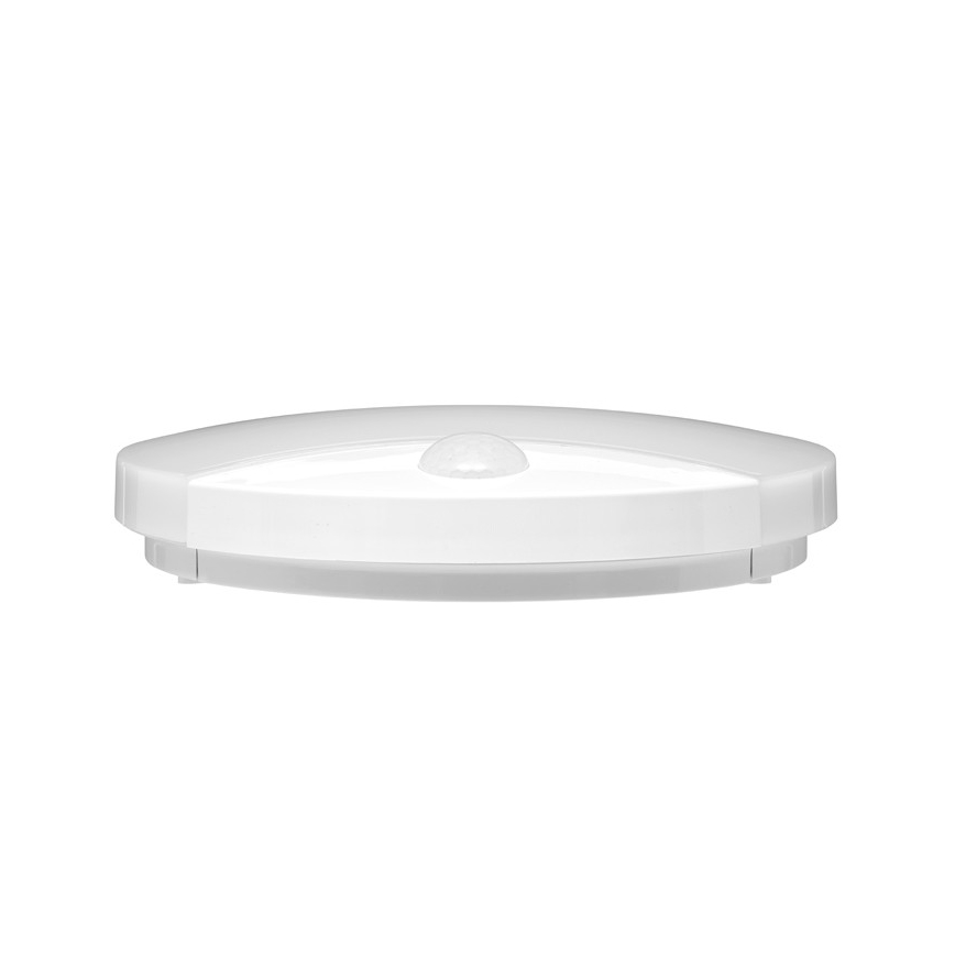 Udendørs LED væglampe med sensor LORA LED/15W/230V IP44