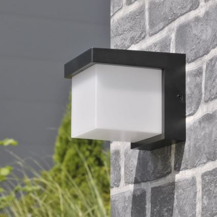 Udendørs LED væglampe MORGAN LED/10W/230V IP54