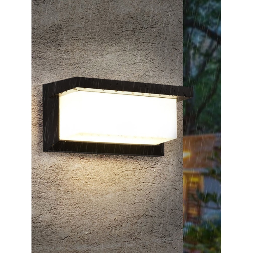 Udendørs LED væglampe NEELY LED/12W/230V 4000K IP54 sort