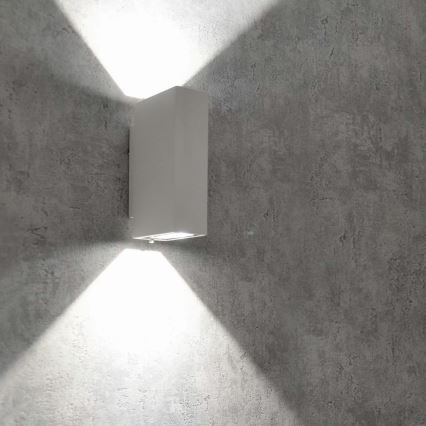 Udendørs LED væglampe ORLEAN 2xLED/2,5W/230V hvid IP54
