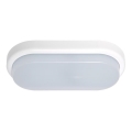 Udendørs LED væglampe OVAL LED/18W/230V IP54