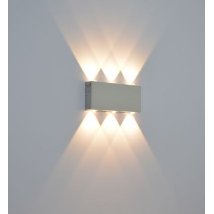 Udendørs LED væglampe SILBER 6xLED/1W/230V IP54