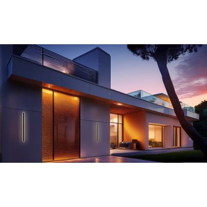 Udendørs LED væglampe STICK LED/12W/230V IP65 3000K 60 cm