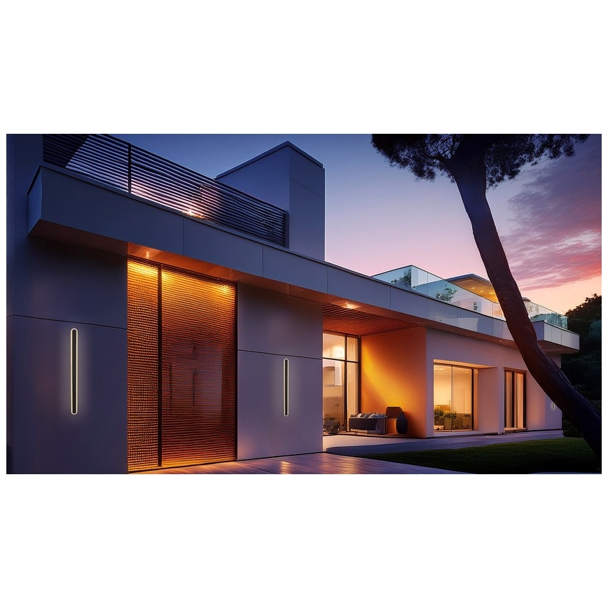 Udendørs LED væglampe STICK LED/12W/230V IP65 3000K 60 cm