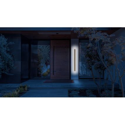 Udendørs LED væglampe STICK LED/12W/230V IP65 3000K 60 cm