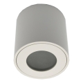 Udendørs loftlampe FARA 1xGU10/50W/230V IP54 hvid
