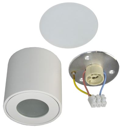 Udendørs loftlampe FARA 1xGU10/50W/230V IP54 hvid