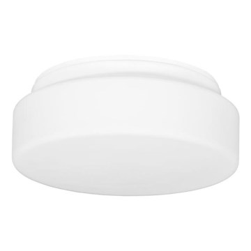 Udendørs loftlampe HECTOR 1xE27/60W/230V diameter 25 cm IP44 opal hvid