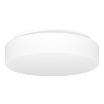 Udendørs loftlampe HECTOR 1xE27/60W/230V diameter 30 cm IP44 opal hvid