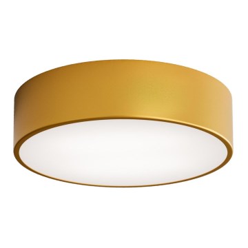 Udendørs loftlampe med sensor CLEO 2xE27/24W/230V diam. 30 cm guldfarvet IP54