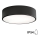 Udendørs loftlampe med sensor CLEO 2xE27/24W/230V diam. 30 cm IP54 sort