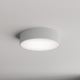 Udendørs loftlampe med sensor CLEO 2xE27/48W/230V diam. 30 cm grå IP54