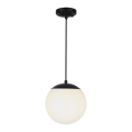 Udendørs pendel på kabel 1xE27/60W/230V Ø 20 cm IP44 sort