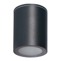 Udendørs spotlampe AQILO 1xGU10/7W/230V IP65 antracit