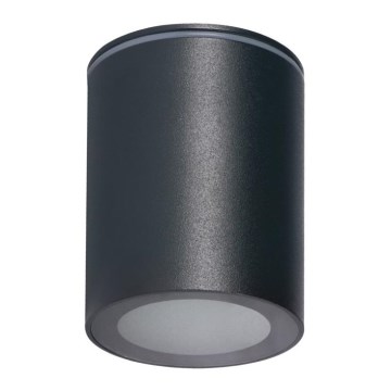 Udendørs spotlampe AQILO 1xGU10/7W/230V IP65 antracit