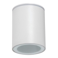 Udendørs spotlampe AQILO 1xGU10/7W/230V IP65 hvid