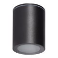 Udendørs spotlampe AQILO 1xGU10/7W/230V IP65 sort