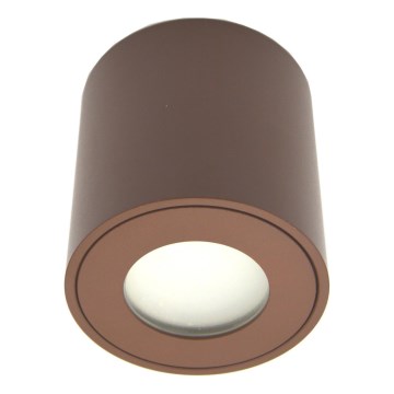Udendørs spotlampe FARA 1xGU10/30W/230V IP54 brun