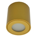 Udendørs spotlampe FARA 1xGU10/30W/230V IP54 guld