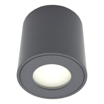 Udendørs spotlampe FARA 1xGU10/30W/230V IP54 sort