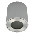 Udendørs spotlampe FARA 1xGU10/30W/230V IP54 sølv