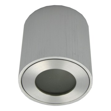 Udendørs spotlampe FARA 1xGU10/30W/230V IP54 sølv