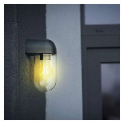 Udendørs væglampe CASSIA 1xE27/15W/230V IP44