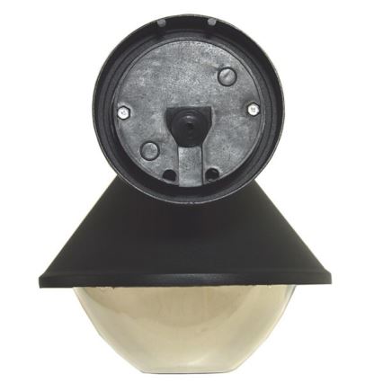 Udendørs væglampe ELGIN 1xE27/60W/230V IP44 sort