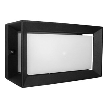 Udendørs væglampe FALIN 1xE27/60W/230V IP54 sort