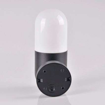 Udendørs væglampe HORTEN 1xE27/10W/230V IP44