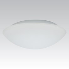 Udendørs væglampe KAROLINA 2xE27/60W opalglas IP44