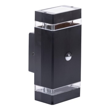Udendørs væglampe med sensor NIZZA 2xGU10/35W/230V IP65