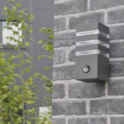 Udendørs væglampe med sensor TEKSAS 1xE27/12W/230V IP44 antracit