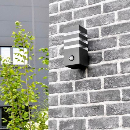 Udendørs væglampe med sensor TEKSAS 1xE27/12W/230V IP44 antracit