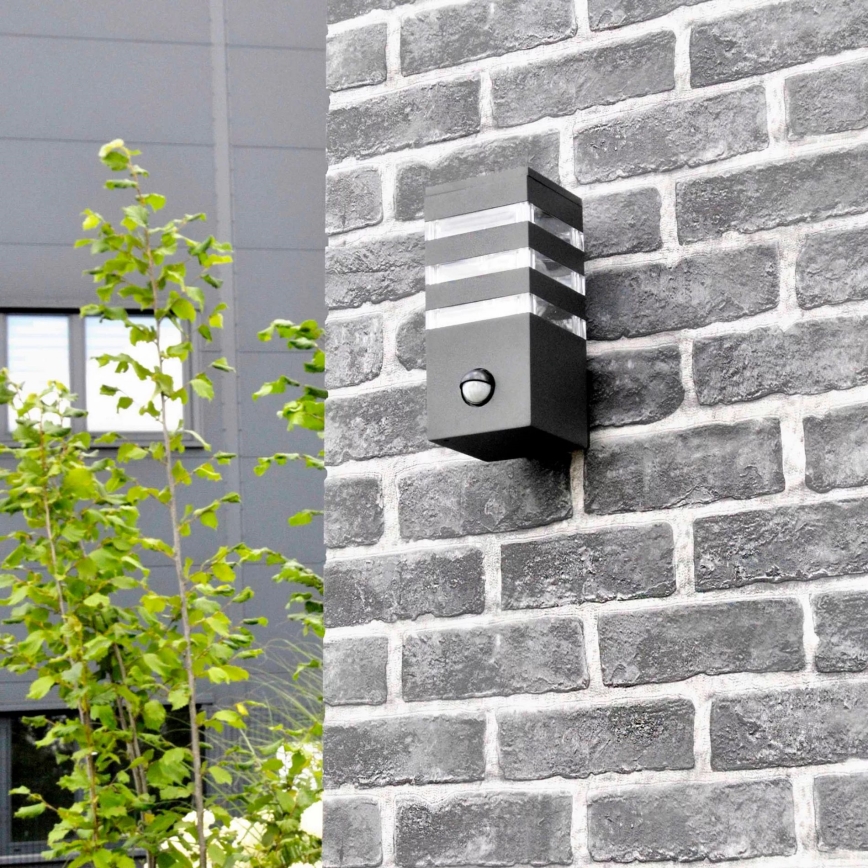 Udendørs væglampe med sensor TEKSAS 1xE27/12W/230V IP44 antracit