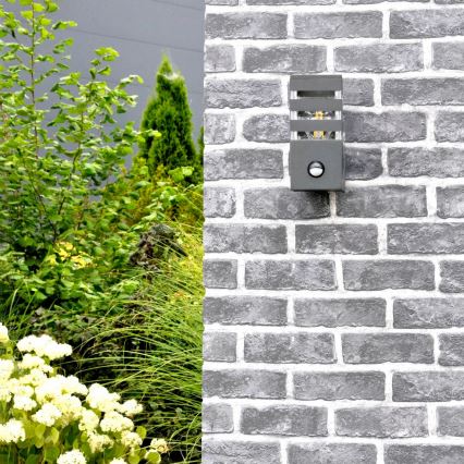 Udendørs væglampe med sensor TEKSAS 1xE27/12W/230V IP44 antracit