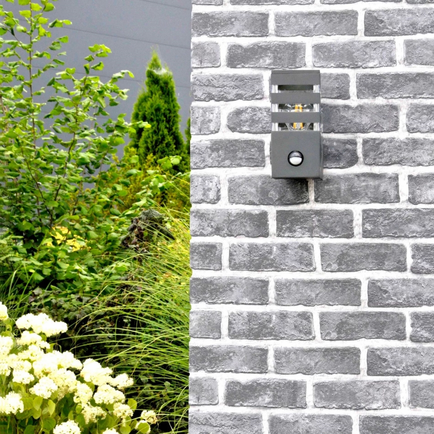 Udendørs væglampe med sensor TEKSAS 1xE27/12W/230V IP44 antracit