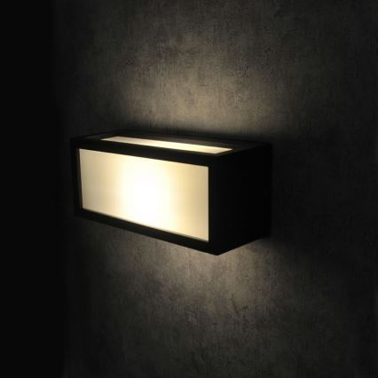 Udendørs væglampe MITO 1xE27/12W/230V IP54