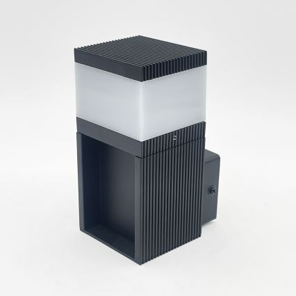 Udendørs væglampe VESPER 1xG9/5W/230V IP44 sort