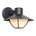 Udendørs væglampe ZALIKA 1xE27/60W/230V IP44 sort