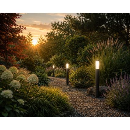 Udendørslampe LOPPA 1xE27/60W/230V 65 cm IP44 antracit