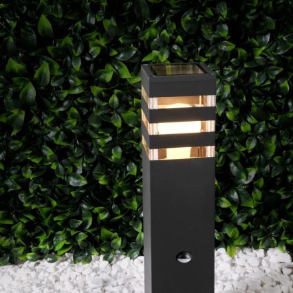 Udendørslampe med sensor TEKSAS 1xE27/12W/230V IP44 44 cm antracit