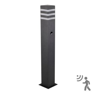 Udendørslampe med sensor TEKSAS 1xE27/12W/230V IP44 74 cm grafit