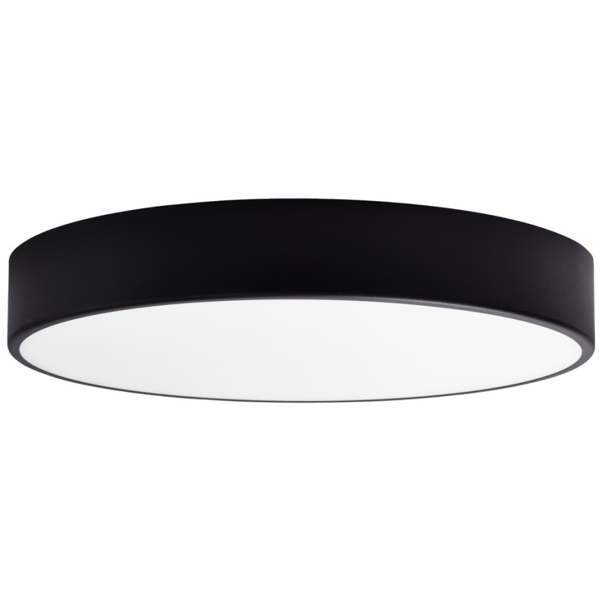 Reserveskærm til loftlampe CLEO 50 cm glas